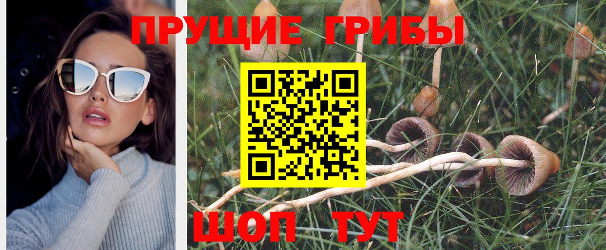 Галлюциногенные грибы Magic Shrooms  Вход с VPN  Псков  Псилоцибиновые грибы Magic Shrooms 