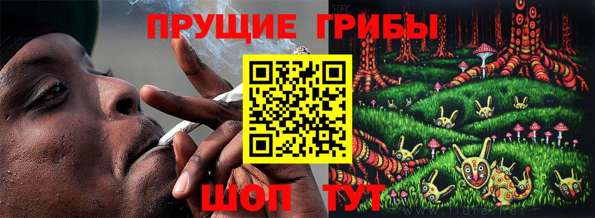 Псилоцибиновые грибы мухоморы Псков